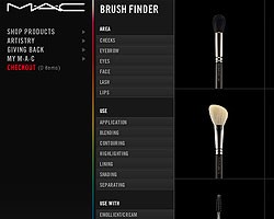 Makeup Brushes